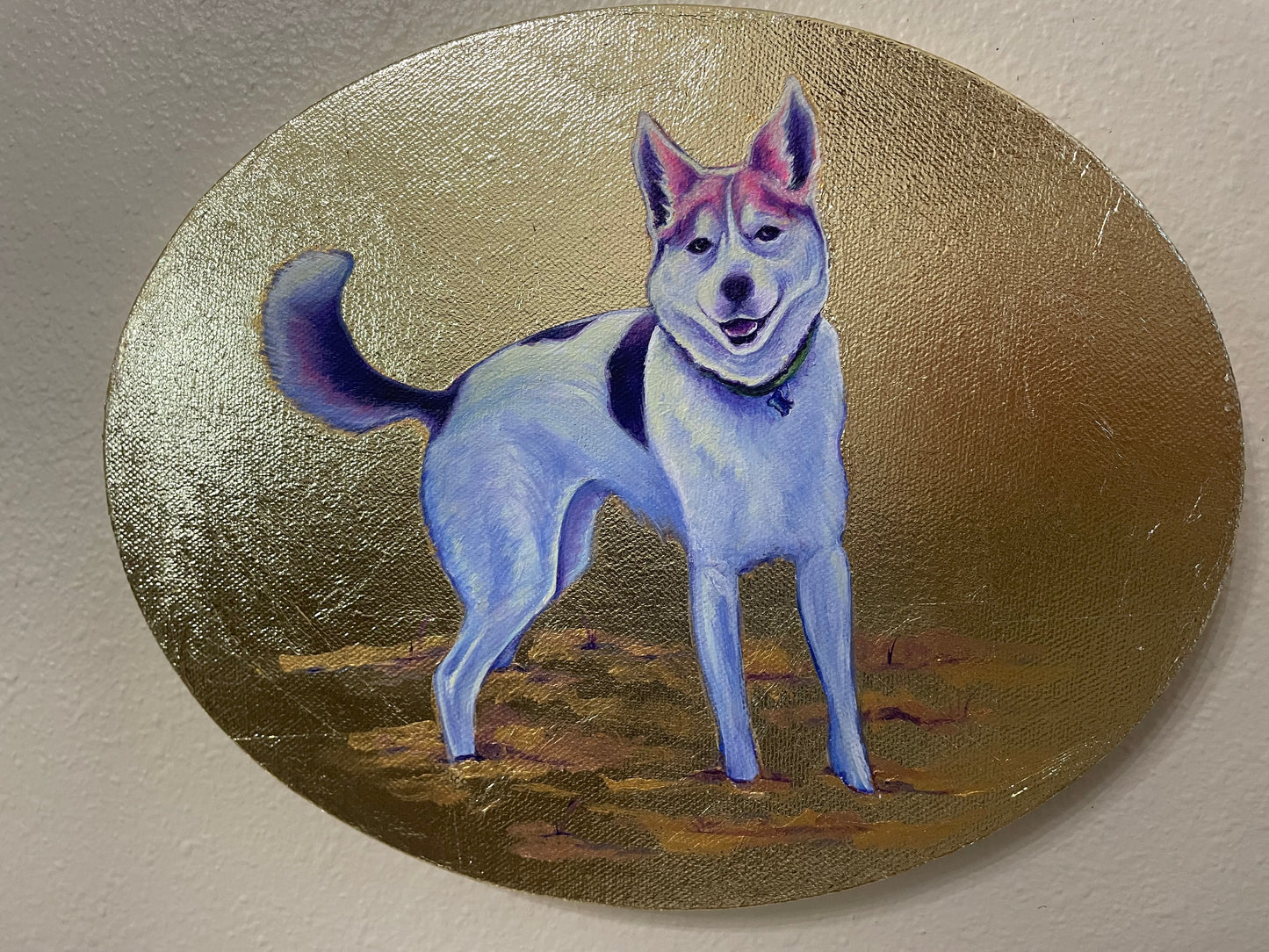 Pet Portrait