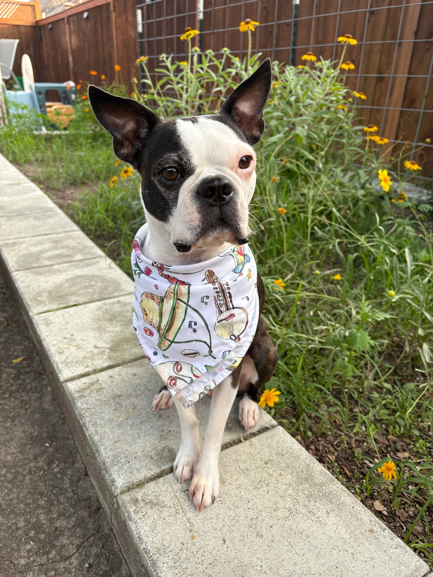 Festival Themed Bandana