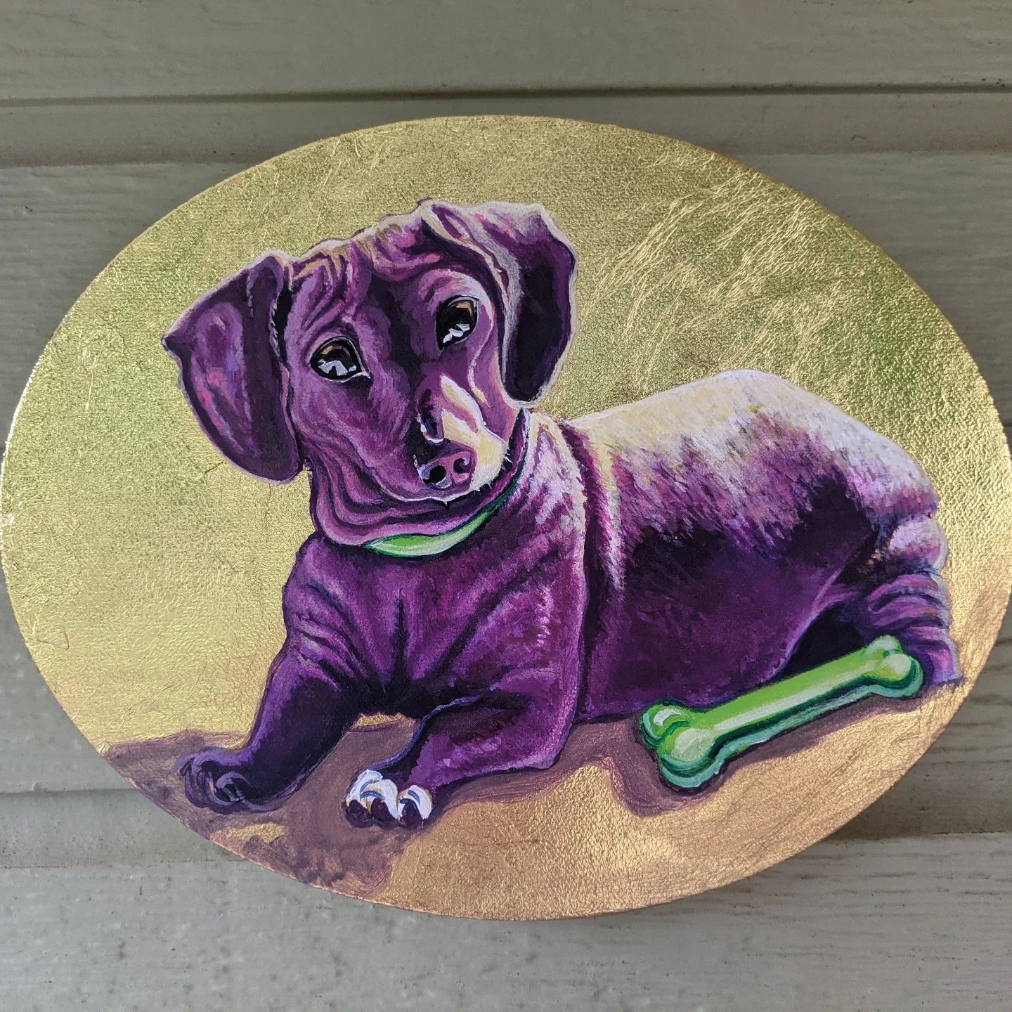 Pet Portrait
